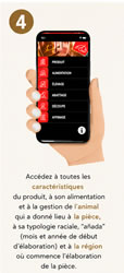 Vérification Étape 4 Vérification Étape 4
